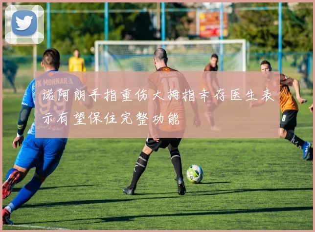 诺阿朗手指重伤大拇指幸存医生表示有望保住完整功能