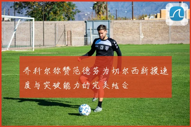 乔科尔称赞范德芬为切尔西新援速度与突破能力的完美结合